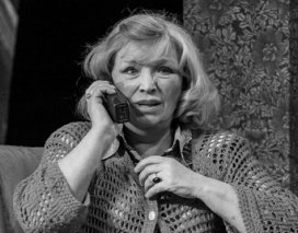 СЕМЕЙНЫЙ УЖИН В ПОЛОВИНЕ ВТОРОГО (О. Остроумова, А. Васильев, А. Большова)